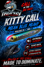 Load image into Gallery viewer, 4” Kitty Calls