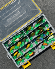 Load image into Gallery viewer, Beyond Braid Beyond Fishing DryLock Waterproof Tackle Box, Watertight 3600 & 3700 Tackle Trays with Dual-Latch Seal, Adjustable Removable Dividers & Anti-Rust Desiccant, Lure & Terminal Tackle Organizer