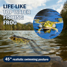 Load image into Gallery viewer, Reaction Tackle 2.5" Hollow Body Frogs / 2-Pack