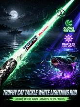 Load image into Gallery viewer, The White Lightning 11' Catfish Rod - Spinning