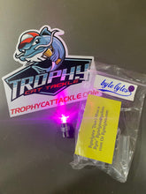 Load image into Gallery viewer, Planer Board Beacon Lytes by Byte Lytes