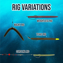Load image into Gallery viewer, Reaction Tackle Soft Plastic Wacky Worms 5.5in - 24 Pack
