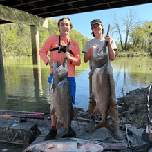 Load image into Gallery viewer, Tournament Series Pink Spinning Rod
